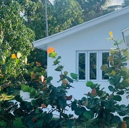 מלון Mangrove Cay The Cay House מראה חיצוני תמונה
